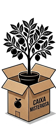 Caixa Misteriosa de Plantas Frutíferas