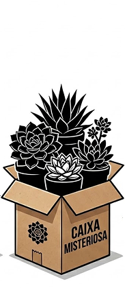 Caixa Misteriosa de Plantas Exóticas