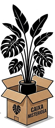 Caixa Misteriosa de Plantas Ornamentais