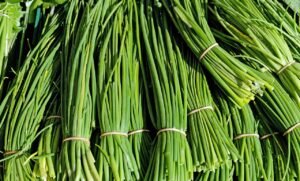 chives, herbs, culinary herbs, plant, nature, chives, chives, chives, chives, chives