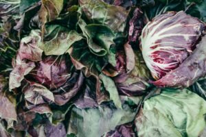 Vibrant radicchio leaves showcasing freshness and organic gardening.